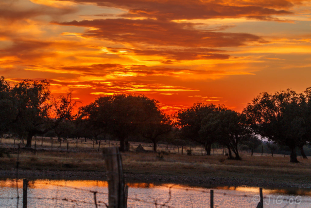 Canon 70D. 1/80 seg. en f/10 ISO 200 distancia focal 116 mm. Objetivo Sigma 18-300