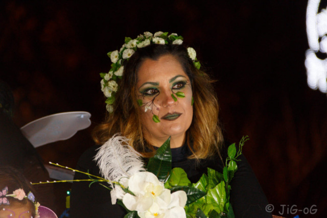 Canon 70D. 1/60 seg. en f/6,3 ISO 1600 distancia focal 300 mm. Objetivo sigma 18-300