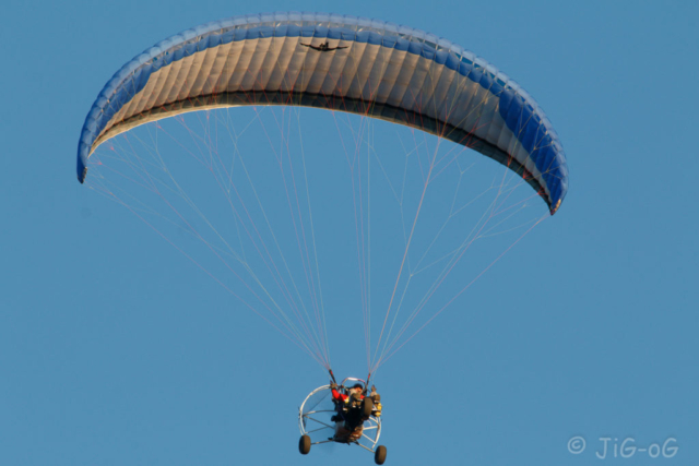 Canon 70D 1/200 seg. en f/10 ISO 200 distancia focal 363mm. Objetivo Sigma 50-500